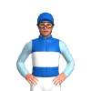 Jockey Silk