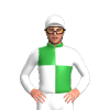 Jockey Silk