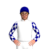 Jockey Silk