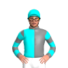 Jockey Silk