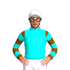 Jockey Silk