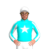 Jockey Silk