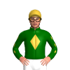 Jockey Silk