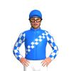 Jockey Silk