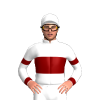 Jockey Silk