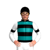 Jockey Silk