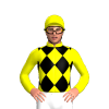 Jockey Silk