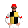 Jockey Silk
