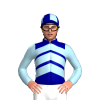 Jockey Silk