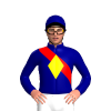 Jockey Silk