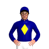 Jockey Silk