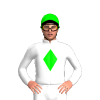 Jockey Silk