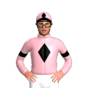 Jockey Silk