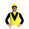 Jockey Silk