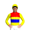 Jockey Silk