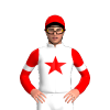 Jockey Silk