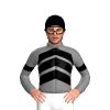 Jockey Silk