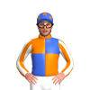 Jockey Silk