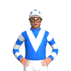 Jockey Silk