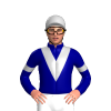 NAVY , SILVER VEE , ARMBAND ,CAP