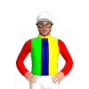 YELLOW, LIME HALVED VERTICAL, NAVY STRIPE, RED SLEEVES, WHITE CAP