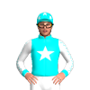 AQUA,WHITE STAR, SLEEVES, AQUA SEAMS, CUFFS,CAP, WHITE STARS