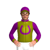 OLIVE GREEN, PURPLE HORSESHOE ,PURPLE COLLAR,PURPLE SLEEVES, OLIVE GREEN CUFF, PURPLE CAP,OLIVE GREEN PEAK