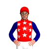 RED,WHITE STARS,NAVY SLEEVES,