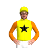 Yellow, Black Star, Orange Sleeves