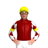 Maroon, White Diamond, Yellow Armbands, White Diamonds, Yellow Cap