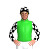 Lime Green, Dark Green Shamrock, Black And White Checked Sleeves And Cap