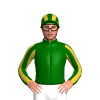 Dark Green, Old Gold Horse Symbol, Striped Sleeves And Cap