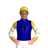 Navy Blue, Strong Bloodstock Logo, Navy Blue Sleeves, White And Old Gold Chevrons, Old Gold Cap