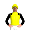 Yellow, Black Epaulettes And Sleeves