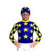 Navy Blue, Yellow Stars And Collar, Checked Sleeves, Stars Cap