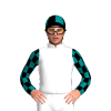 White, Flying Start Syndications Logo, Black And Teal Checked Sleeves, Quartered Cap
