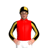 RED,GOLD FIVE DIAMONDS,BLACK SLEEVES, GOLS STRIPES SLEEVES,CAP,BLACK QUARTERS