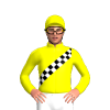 YELLOW, BLACK and white CHECKED SASH
