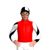 RED, WHITE FIVE STARS, WHITE SLEEVES, BLACK DIAGONAL STRIPES, BLACK CAP, WHITE QUARTERS