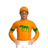orange,DARK GREEN horse,orange sleeves,DARK GREEN ARMBANDS