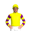 YELLOW, BLACK FIVE DIAMONDS, YELLOW SLEEVES, PURPLE HOOPS