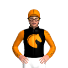 BLACK, ORANGE HORSE SILHOUETTE, ORANGE SLEEVES ,BLACK SEAMS, SEAMS CAP