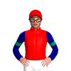 RED, NAVY BLUE SLEEVES, EMERALD GREEN ARMBANDS, RED CAP