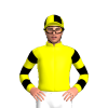 Yellow, Black Hooped Sleeves, Quartered Cap