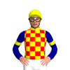 Yellow, Red Checks, Dark Blue Sleeves, Yellow Armbands
