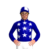 Dark Blue, White Stars, Quartered Cap