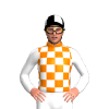 Orange And White Checks With Black Horses, White Sleeves, Quartered Cap With Black Horses