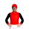 Red, Black Sleeves And Red Cuffs