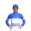 Royal Blue, White Halves, White Checked Band And Armbands