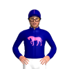 Navy Blue, Hot Pink Horse Logo, Seams Cap